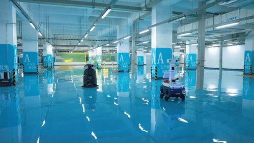 党建领航治水路 净水赋能促发展 央广网